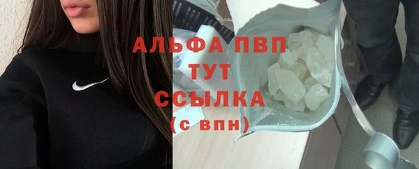 гашик Елизово