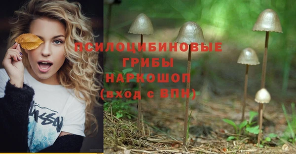 а пвп мука Фёдоровский