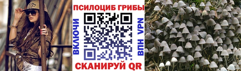 Псилоцибиновые грибы мицелий Заозёрный