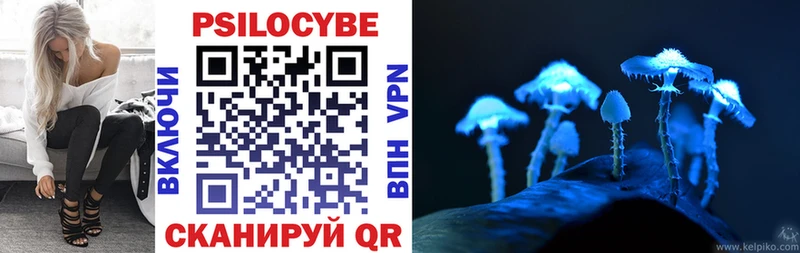Купить где  Заозёрный  Псилоцибиновые грибы Psilocybe 